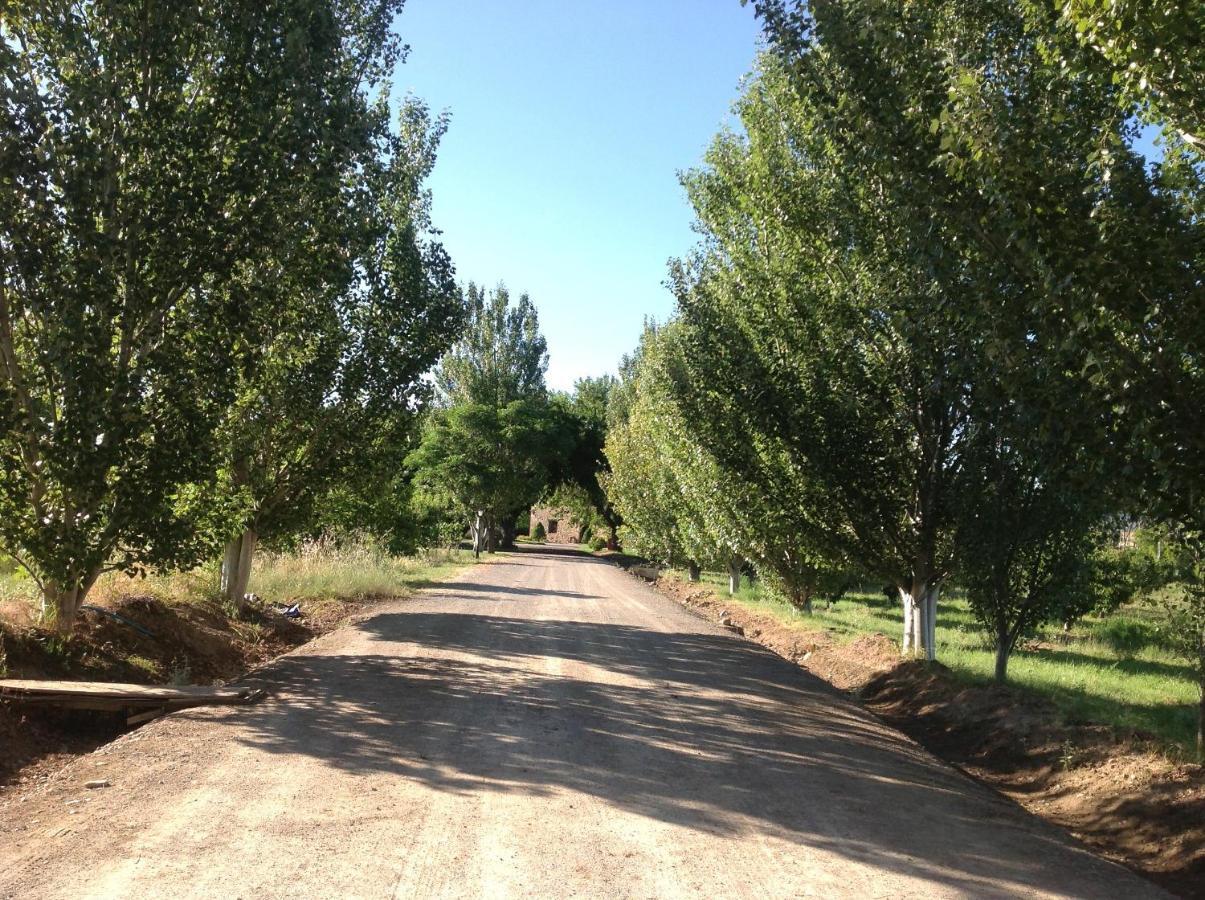 Finca El Consul Logroño Eksteriør bilde